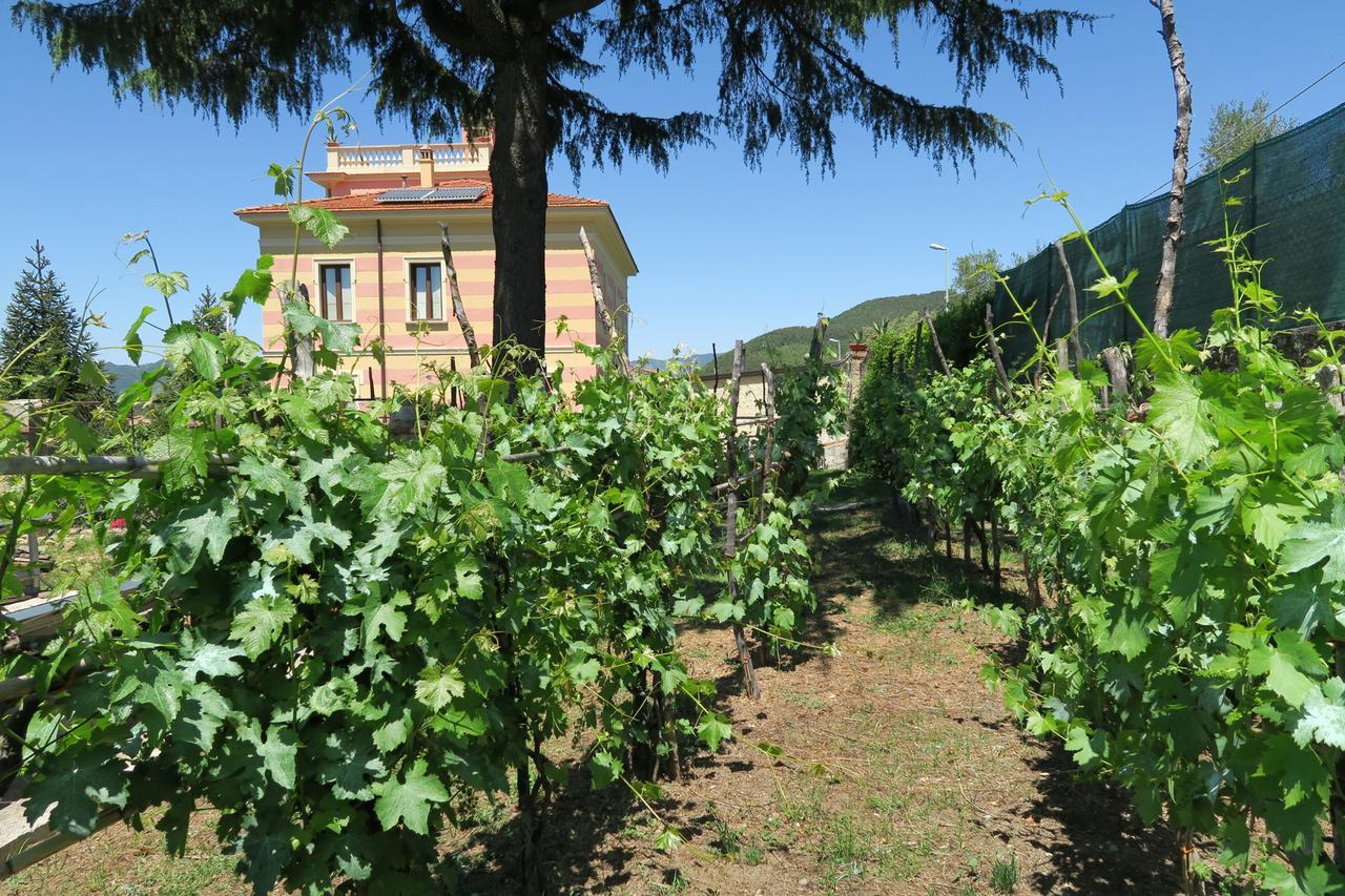 Villa Vincenza Vallo della Lucania Exteriör bild