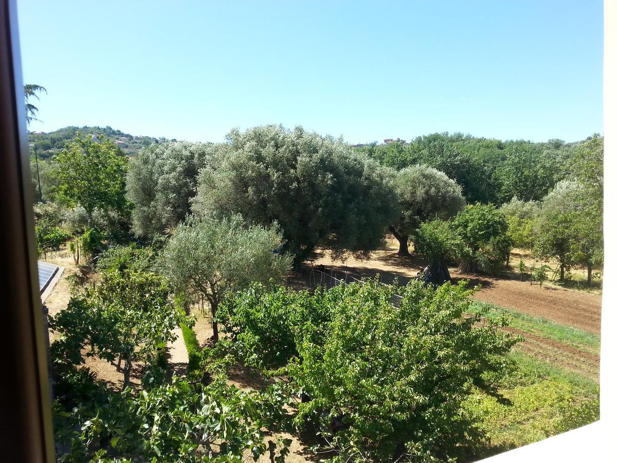 Villa Vincenza Vallo della Lucania Exteriör bild